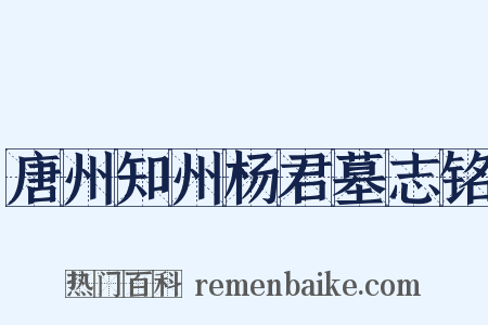 唐州知州杨君墓志铭是什么意思的图片